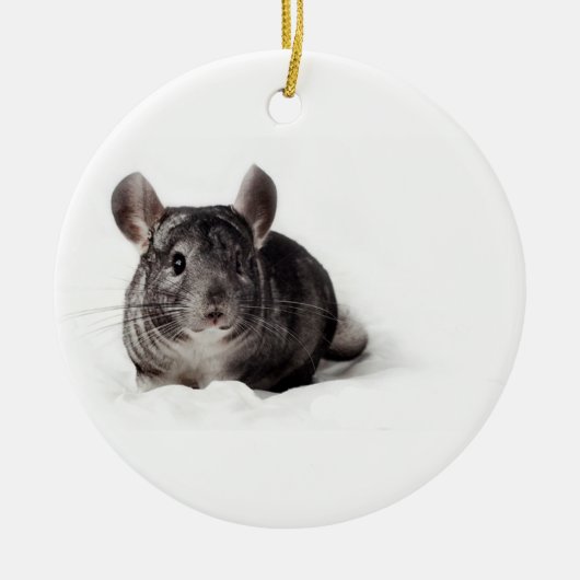 Gray Chinchilla Cute in Blanket Keramisch Ornament (Voorkant)