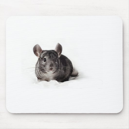 Gray Chinchilla Cute in Blanket Muismat (Voorkant)
