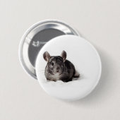 Gray Chinchilla Cute in Blanket Ronde Button 5,7 Cm (Voorkant /achterkant)
