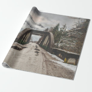 GRAY CONCRETE ARCH BRIDE BESIDE LEAFLESS TREE NEAR CADEAUPAPIER