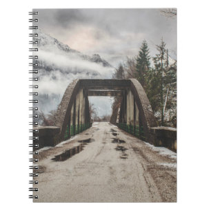 GRAY CONCRETE ARCH BRIDE BESIDE LEAFLESS TREE NEAR NOTITIEBOEK