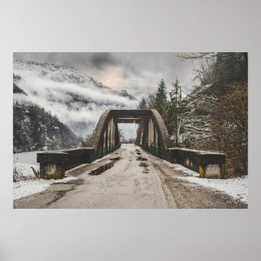 GRAY CONCRETE ARCH BRIDE BESIDE LEAFLESS TREE NEAR POSTER (Voorkant)
