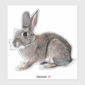 Gray Cottontail Rabbit Pet Bunny  Sticker (Vel)