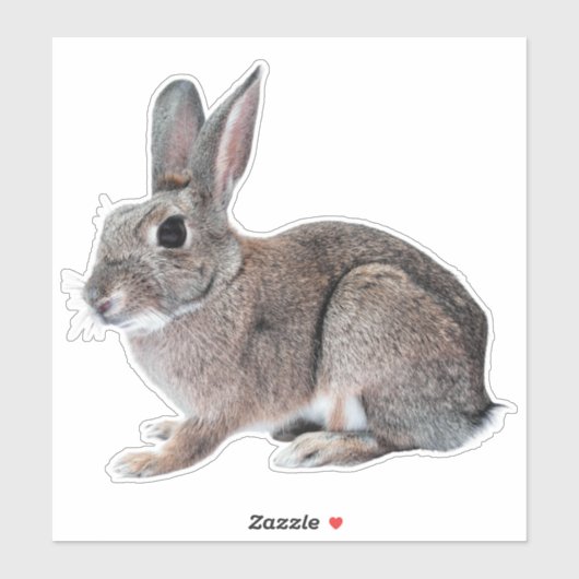 Gray Cottontail Rabbit Pet Bunny  Sticker (Vel)