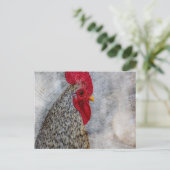 Gray Country Rooster Briefkaart (Staand voorkant)