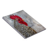 Gray Country Rooster Notitieboek (Rechterzijde)