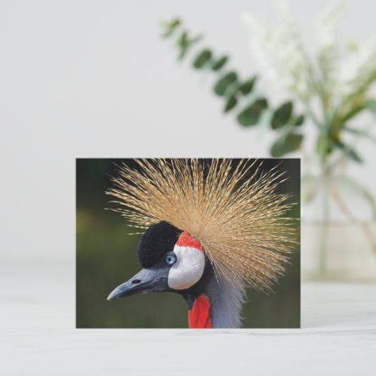 Gray Crowned Crane Briefkaart (Staand voorkant)