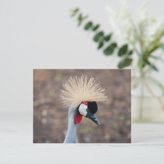 Gray Crowned Crane Briefkaart (Staand voorkant)
