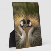 Gray Crowned Crane Fotoplaat (Zijkant)