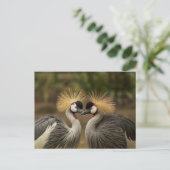 Gray Crowned Crane-koppel Briefkaart (Staand voorkant)