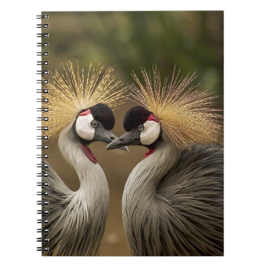 Gray Crowned Crane Notitieboek (Voorkant)
