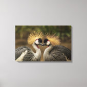 Gray Crowned Crane-stel Canvas Afdruk (Voorkant)