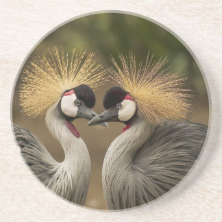 Gray Crowned Crane Zandsteen Onderzetter