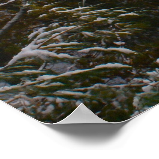 Gray Day Beauty Poster (Hoek)