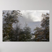 Gray Day Beauty Poster (Voorkant)