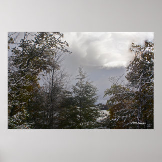 Gray Day Beauty Poster