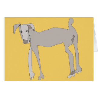 Gray Dog