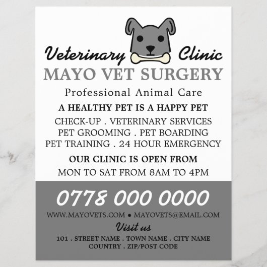 Gray Dog, Veterinarian Service Flyer (Voorkant)
