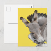 Gray Donkey Foal Briefkaart (Voorkant / Achterkant)