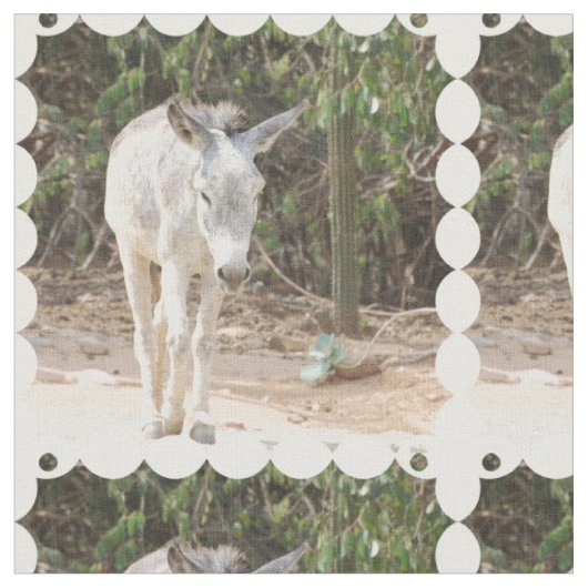 Gray Donkey Stof (Close Up)