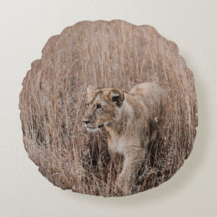 GRAY EN BROWN LION, OMROUND DOOR BROWN GRASS ROND KUSSEN