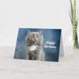 Gray en White Kitten Photo Birthday Kaart