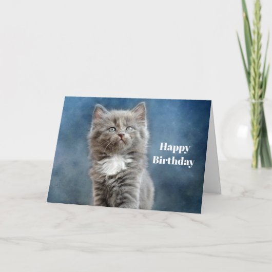 Gray en White Kitten Photo Birthday Kaart (Voorkant)