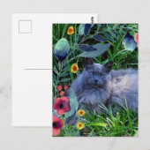 Gray Fluffy Cat in tuin met bloemen Briefkaart (Voorkant / Achterkant)