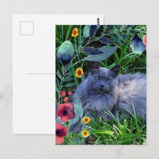 Gray Fluffy Cat in tuin met bloemen Briefkaart (Voorkant / Achterkant)