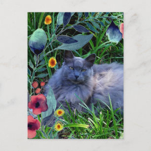 Gray Fluffy Cat in tuin met bloemen Briefkaart