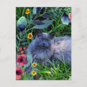 Gray Fluffy Cat in tuin met bloemen Briefkaart (Voorkant)