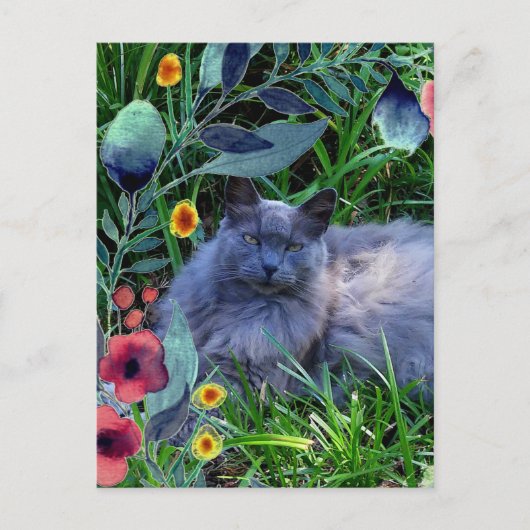 Gray Fluffy Cat in tuin met bloemen Briefkaart (Voorkant)