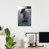 Gray Furry Australian Quokka, Poster (Thuiskantoor)