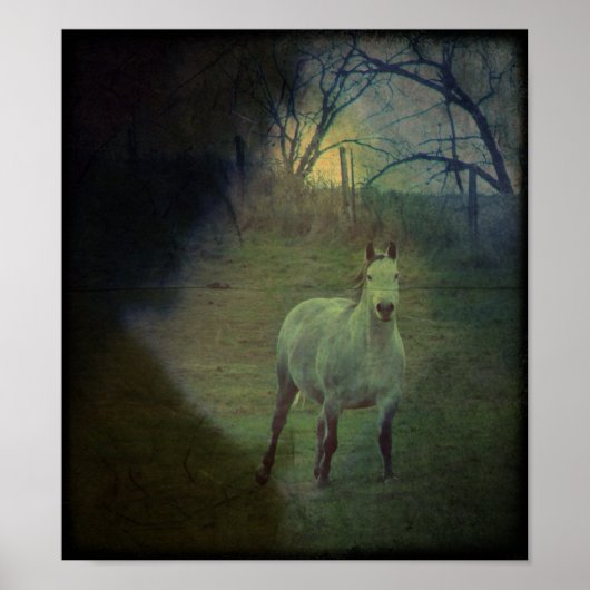 Gray Gallop Grunge Poster (Voorkant)