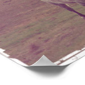 Gray Gallop Poster (Hoek)