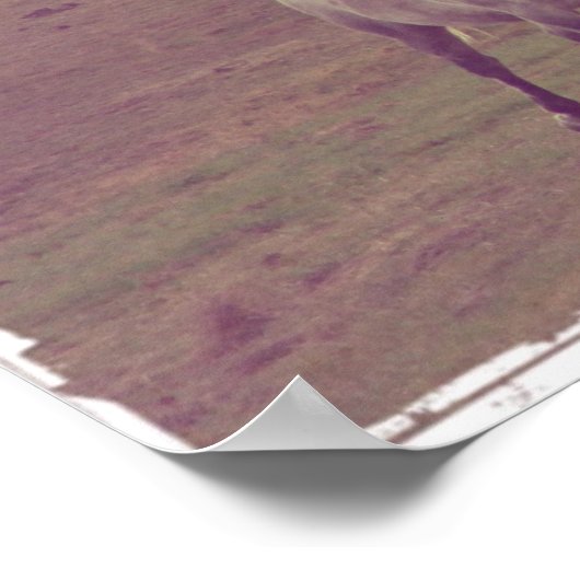 Gray Gallop Poster (Hoek)