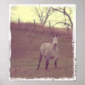 Gray Gallop Poster (Voorkant)