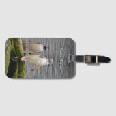 Gray Gentoo Penguin Edinburgh Zoo Scotland Bagagelabel (Voorkant (horizontaal))