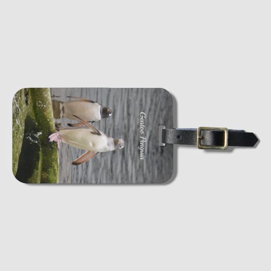 Gray Gentoo Penguin Edinburgh Zoo Scotland Bagagelabel (Voorkant (horizontaal))