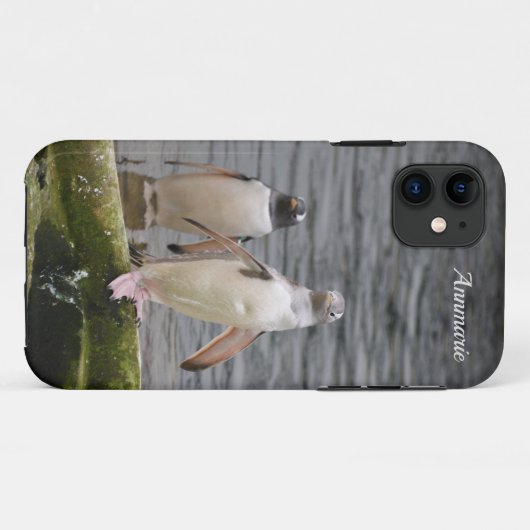 Gray Gentoo Penguin Edinburgh Zoo Scotland Case-Mate iPhone Case (Achterkant (horizontaal))