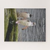 Gray Gentoo Penguin Edinburgh Zoo Scotland Legpuzzel (Horizontaal)