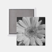 Gray Gerbera Magnet (Voorkant / Achterkant)