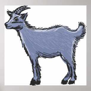 Gray Goat Sketch Poster