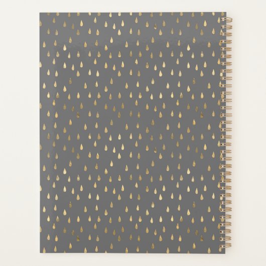 Gray Gold Raindrop Modern Trendy Monogram Planner (Achterkant)