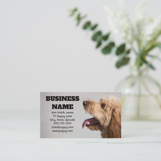 Gray Goldendole Dog Visitekaartje (Staand voorkant)