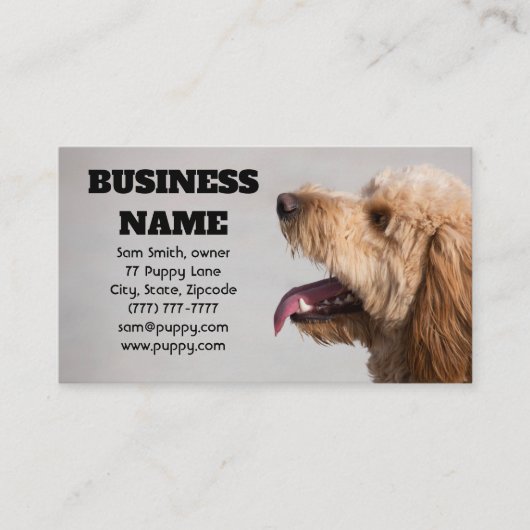 Gray Goldendole Dog Visitekaartje (Voorkant)