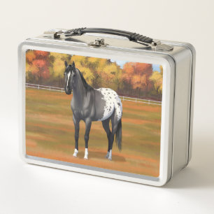 Gray Grulla Appaloosa Quarter Horse Stallion