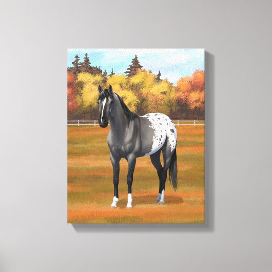 Gray Grulla Appaloosa Quarter Horse Stallion Canvas Afdruk (Voorkant)
