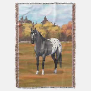 Gray Grulla Appaloosa Quarter Horse Stallion Deken