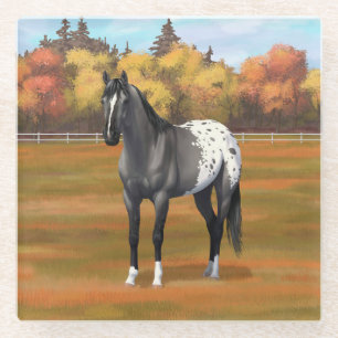 Gray Grulla Appaloosa Quarter Horse Stallion Glazen Onderzetter